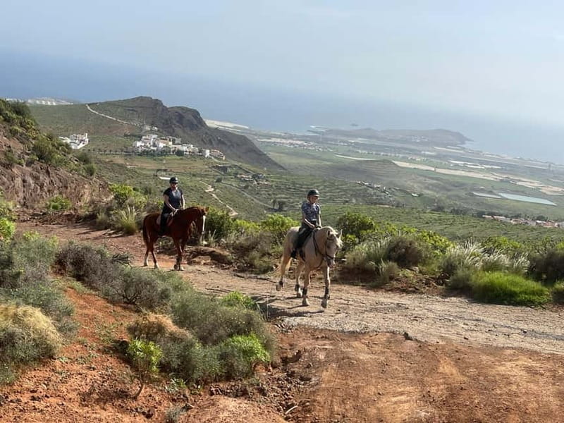 2 hours Green Mountains Horse Riding Tour - What the riding feels like for beginners