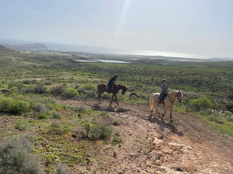 2 hours Green Mountains Horse Riding Tour - Scenery that earns the $100 price