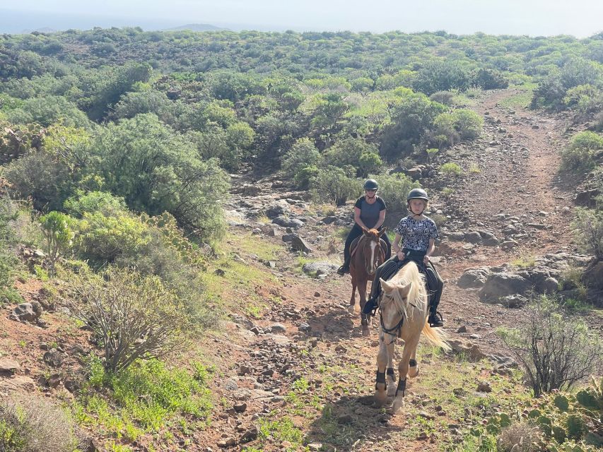 2 hours Green Mountains Horse Riding Tour - Timing, languages, and practical limits