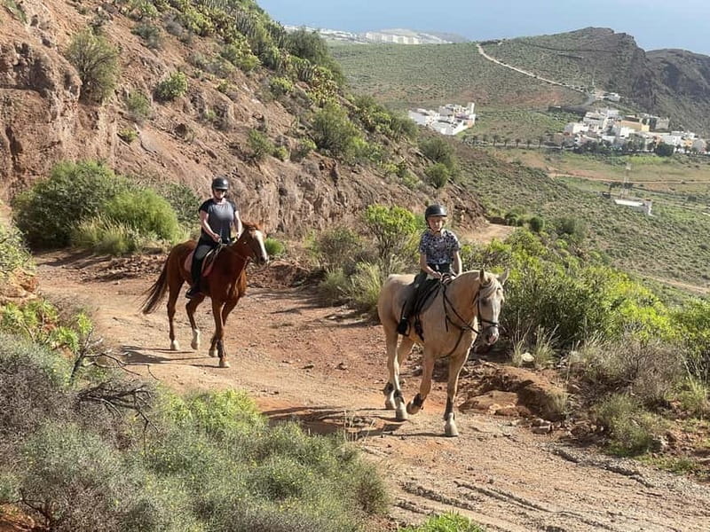 2 hours Green Mountains Horse Riding Tour - Who will enjoy this horseback ride most?