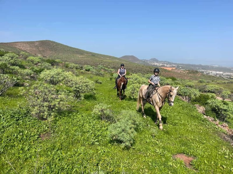 2 hours Green Mountains Horse Riding Tour - Helmets, boots, and a short safety lesson