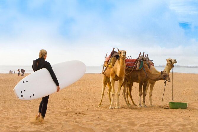 2 hours horse ride beach and dunes in Essaouira Morocco - Key points before you book