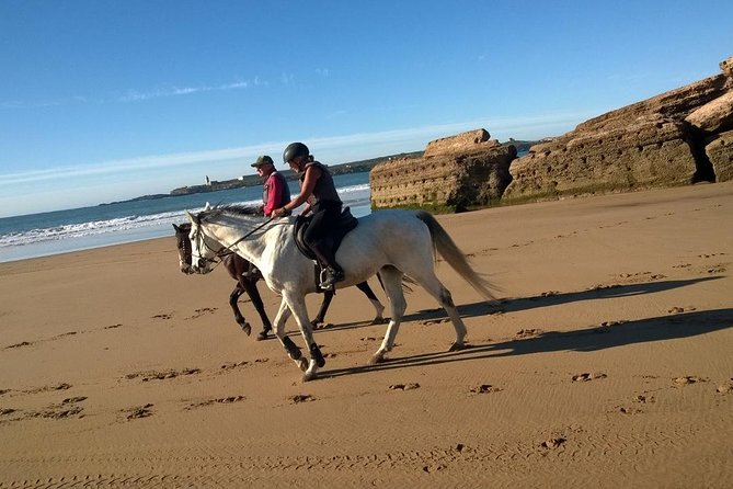 2 hours horse ride beach and dunes in Essaouira Morocco - Forest, dunes, and the return route