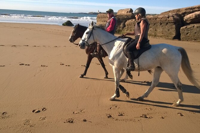 2 hours horse ride beach and dunes in Essaouira Morocco - Who should book this ride?