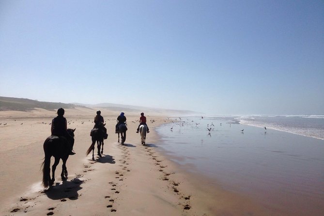 2 hours horse ride beach and dunes in Essaouira Morocco - The beach ride is the main event