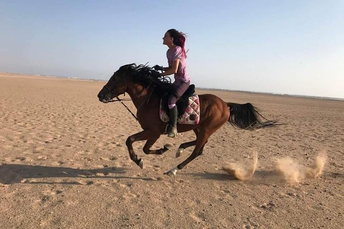 2 Hours Horse Riding Adventure in The Sea & Desert - Hurghada - What the three-hour Hurghada outing includes