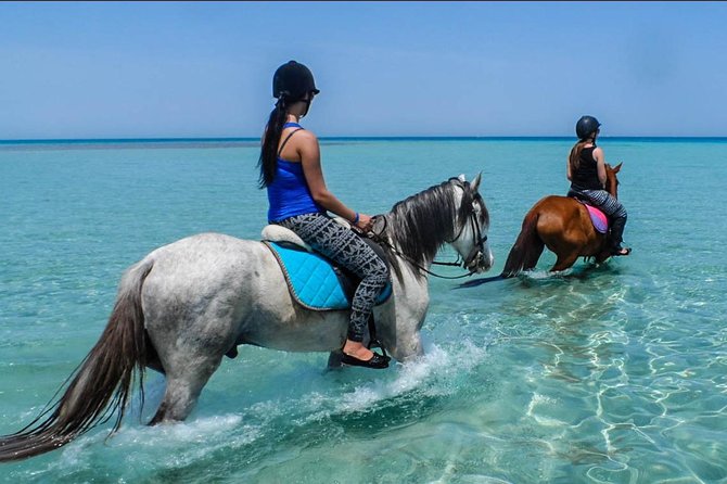 2 Hours Horse Riding Adventure in The Sea & Desert - Hurghada - The second hour among Hurghada’s desert sands