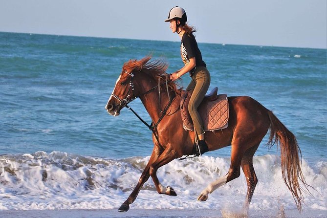 2 Hours Horse Riding Adventure in The Sea & Desert - Hurghada - The camel question needs clearing up