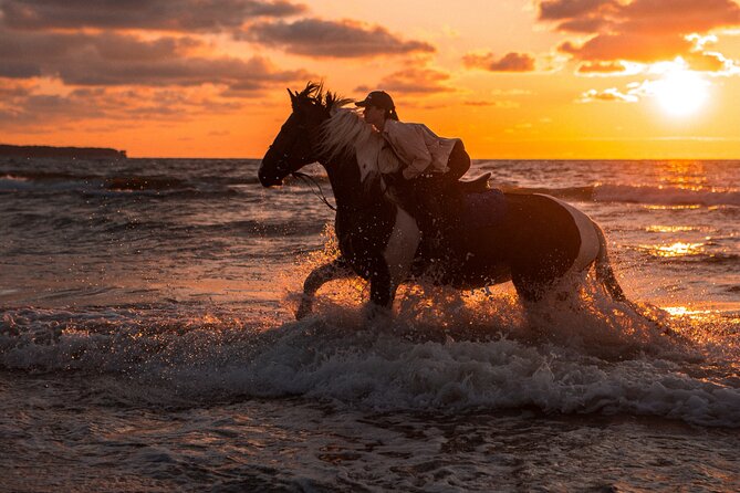 2 Hours Horse Riding Adventure in The Sea & Desert - Hurghada - Price, extra fees, and real value