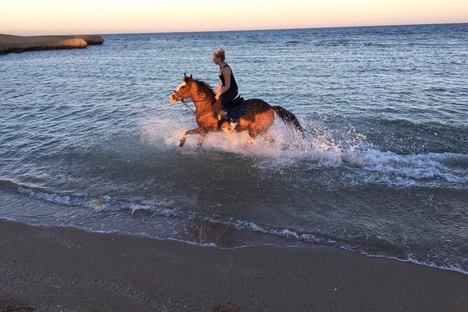 2 Hours Horse Riding Adventure in The Sea & Desert - Hurghada - Who should book this ride?