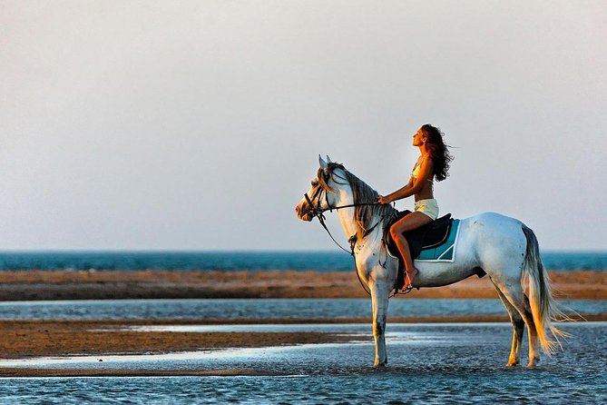 2 Hours Horse Riding Adventure in The Sea & Desert - Hurghada - Booking details and cancellation