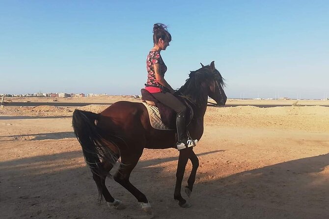 2 hours Horse Riding At Amazing Desert With Transfer - Sharm El Sheikh - Why the Desert Looks Different From Horseback