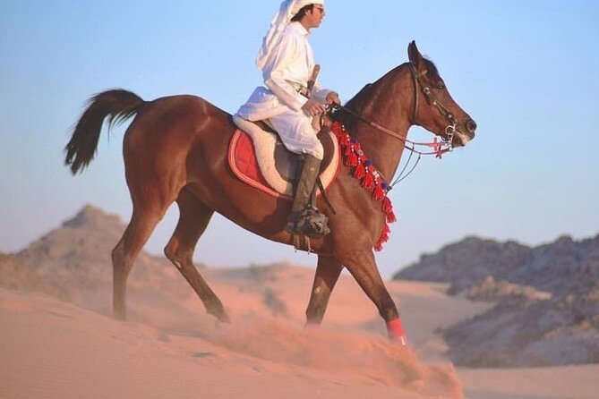 2 hours Horse Riding At Amazing Desert With Transfer - Sharm El Sheikh - Tea, Water, Helmets, and the Five-Euro Extra Fee