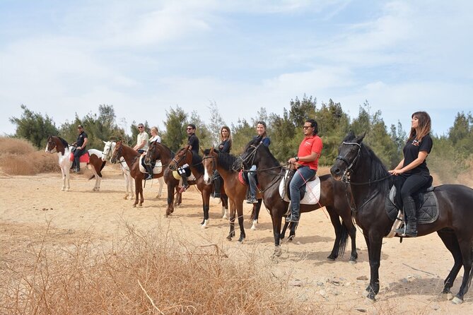 2 hours Horse Riding At Amazing Desert With Transfer - Sharm El Sheikh - When This Horse Ride Fits Best