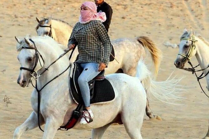 2 hours Horse Riding At Amazing Desert With Transfer - Sharm El Sheikh - The Value of Hotel Pickup and a Small Group