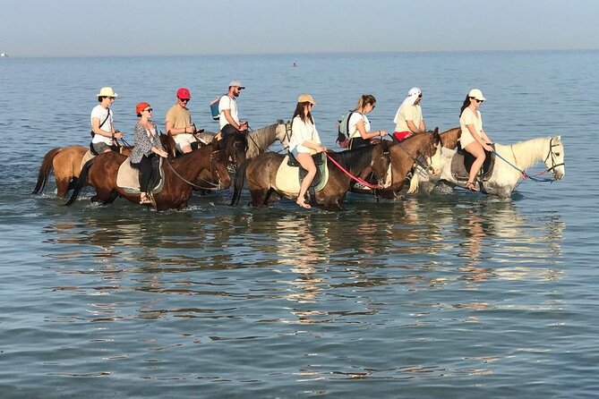2 hours Horse Riding on The Sea and Desert- Hurghada - Key details before you saddle up