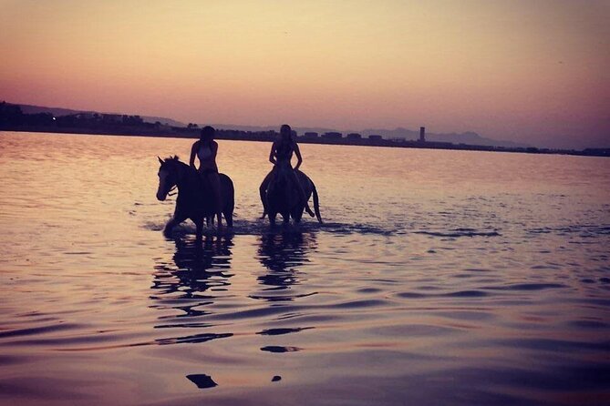 2 hours Horse Riding on The Sea and Desert- Hurghada - From Hurghada hotel to riding stable