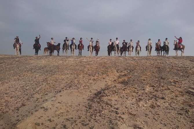 2 hours Horse Riding on The Sea and Desert- Hurghada - What two hours of riding really means