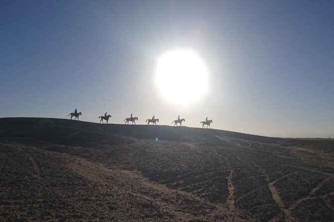 2 hours Horse Riding on The Sea and Desert- Hurghada - Horse welfare deserves a close look