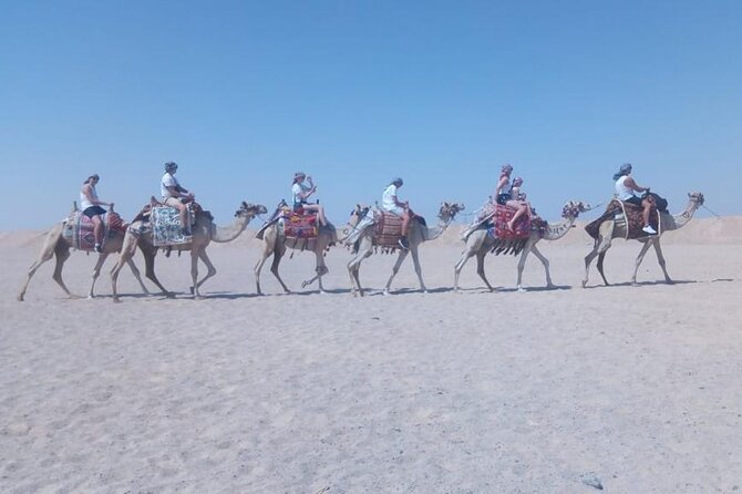 2 hours Horse Riding on The Sea and Desert- Hurghada - The first ride across the desert area