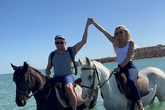 2 hours Horse riding or Camel riding at Hurghada - What the two-hour experience is really like