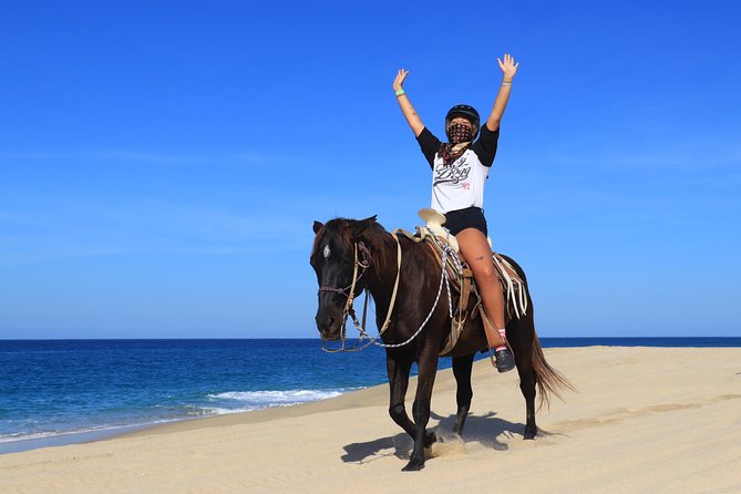 2 Hours Horseback Riding Adventure in Cabo - Is the $130 price good value?
