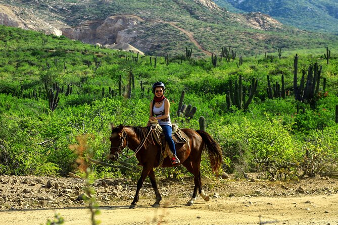 2 Hours Horseback Riding Adventure in Cabo - Meeting the horses and visiting the animal sanctuary