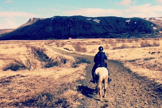 2 hours Private Horse Riding to Lake Hafravatn, Reykjavík - Mos - Key things to know before you book