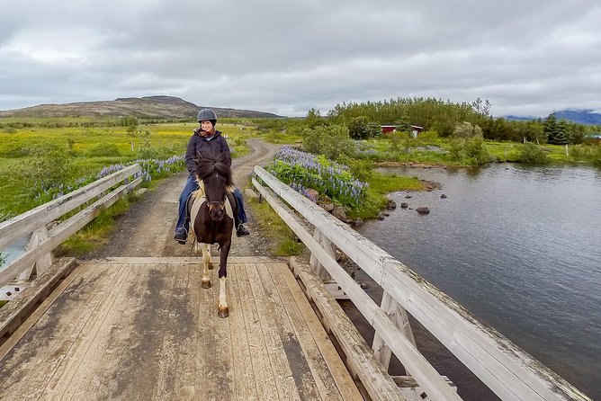 2 hours Private Horse Riding to Lake Hafravatn, Reykjavík - Mos - The horses are part of the appeal