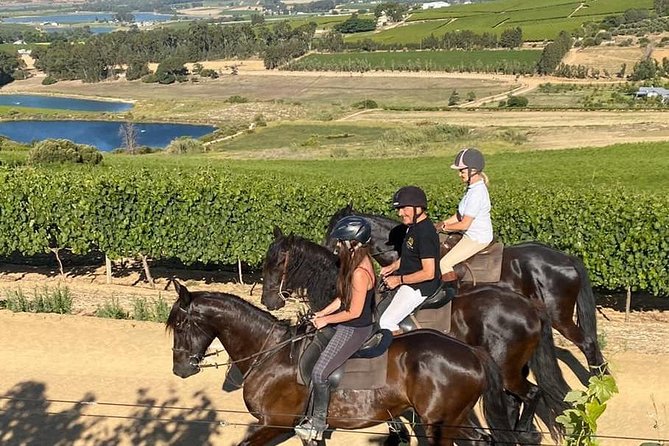 2h – Horse Trail - Key points to know before you book