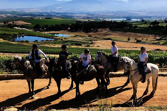 2h – Horse Trail - Why this ride works for both beginners and experienced riders