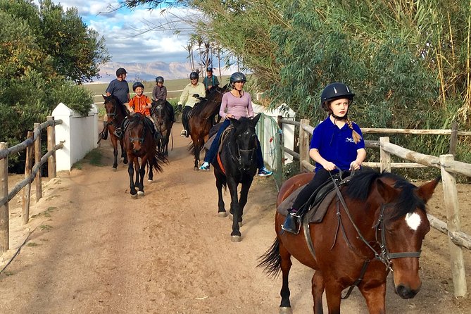 2h – Horse Trail - What happens during the two-hour route