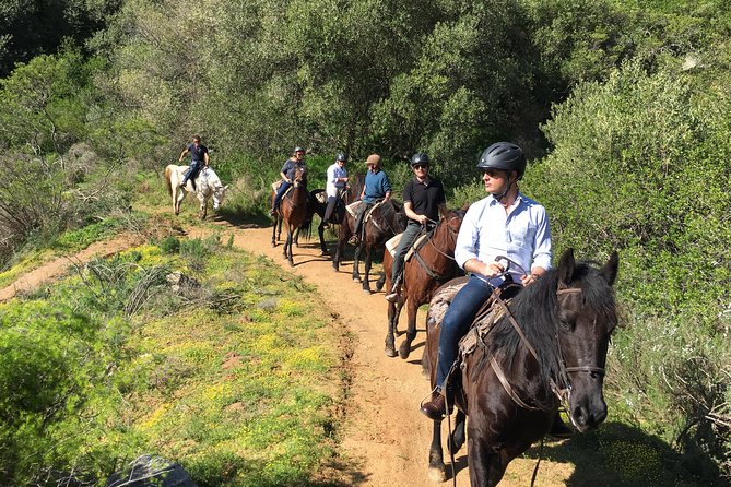 2h – Horse Trail - The climb toward Paarl Mountain