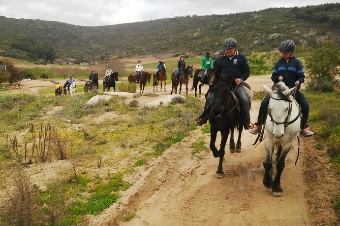 2h – Horse Trail - What the five-star feedback tells you
