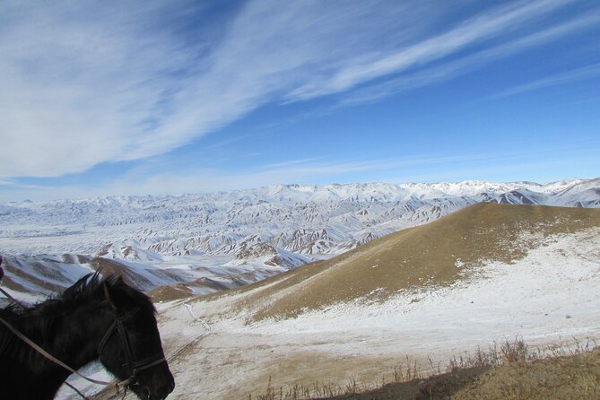 3 days horse back riding to Song-Kul lake whole year round - Day 3: Riding back to Kyzart and continuing to Kochkor