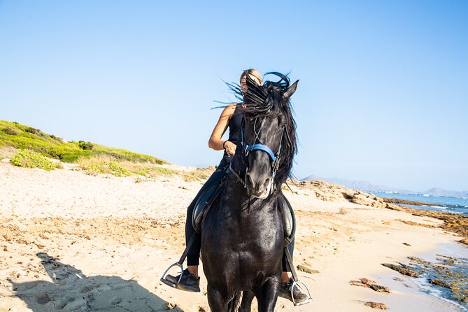 3-Hour Beach Horse Riding to Discover the Beauty of Alcudia Bay - Key points before you book