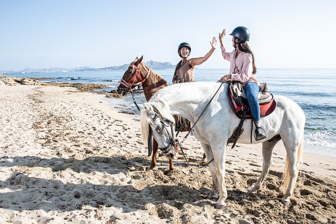 3-Hour Beach Horse Riding to Discover the Beauty of Alcudia Bay - Horses, equipment, and staff support