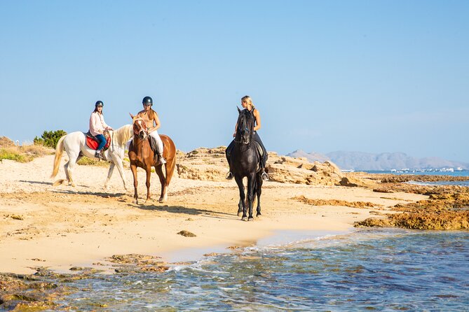 3-Hour Beach Horse Riding to Discover the Beauty of Alcudia Bay - Is $90.12 good value?