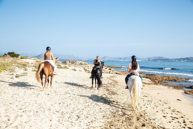 3-Hour Beach Horse Riding to Discover the Beauty of Alcudia Bay - Who should book this Alcudia Bay ride?