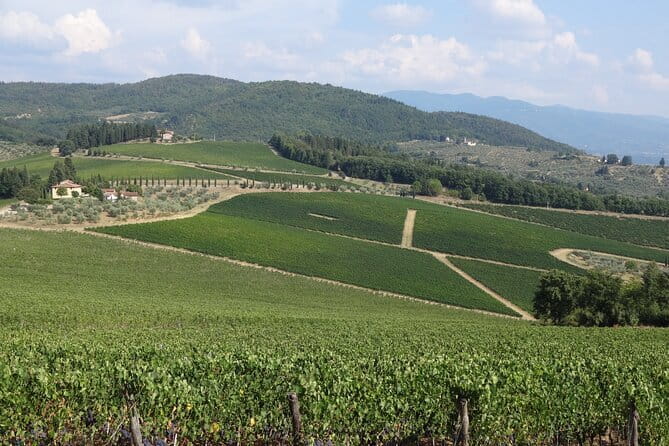 3 Hour Horse Ride to a Castle for Wine Tasting and snack Lunch - What the $830.84 price really buys