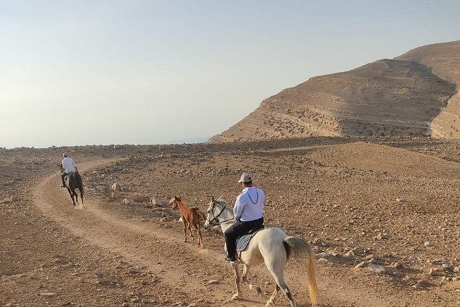 3 Hour Horse Riding Adventure around the Petra Area - Siq Al Barid and the mountain break