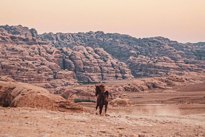 3 Hour Horse Riding Adventure around the Petra Area - Tea with local Bedouin