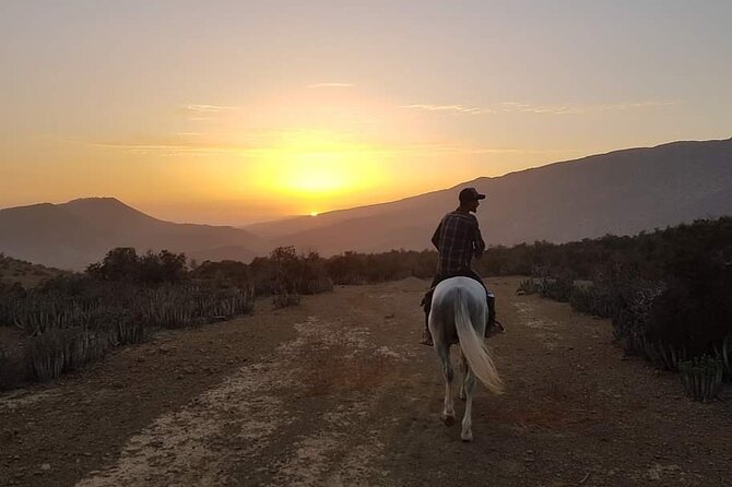 3-hour Horseback Ride Mountain and Beach Morocco - Starting with the beach: room to walk, trot, and gallop