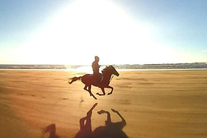 3-hour Horseback Ride Mountain and Beach Morocco - The horses and the people behind Amazir Cheval
