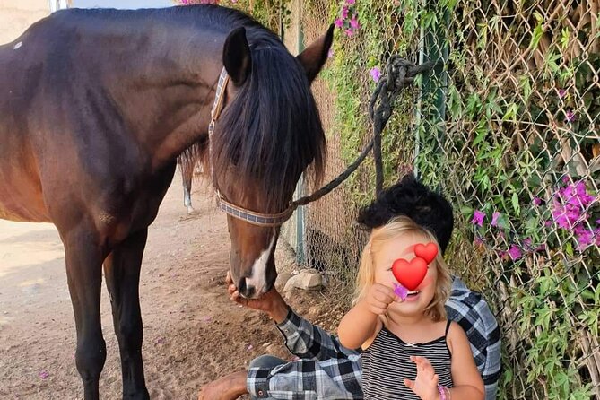3-hour Horseback Ride Mountain and Beach Morocco - How hard is the ride?