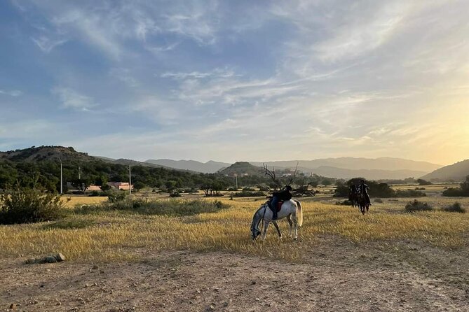 3-hour Horseback Ride Mountain and Beach Morocco - Palm groves, streams, and the Valley of Paradise area
