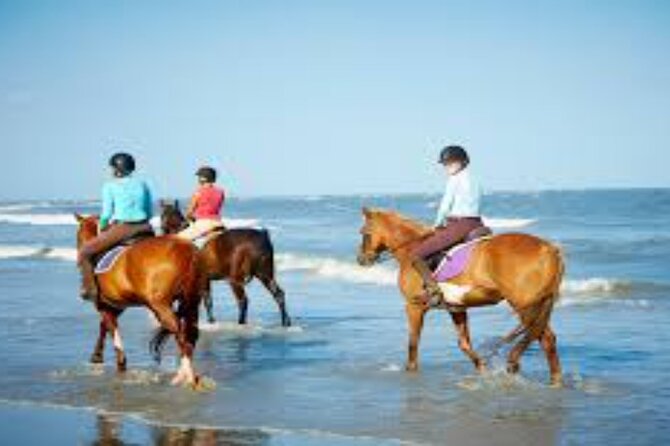 3-Hour Swim with Horses and Romantic Dinner from Hurghada hotels - From Hurghada hotels to the desert riding area
