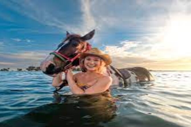 3-Hour Swim with Horses and Romantic Dinner from Hurghada hotels - What the $18.01 price really buys you
