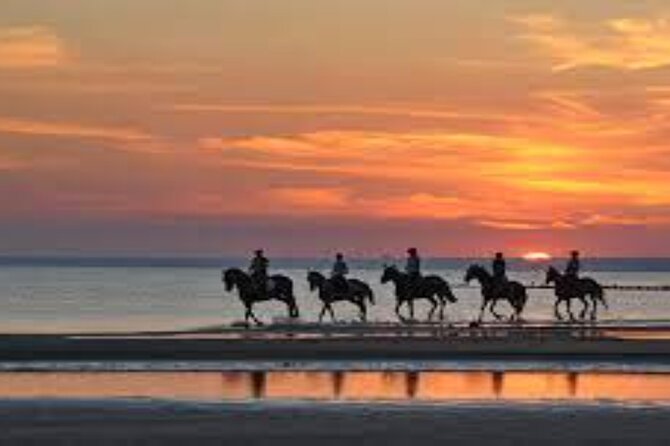 3-Hour Swim with Horses and Romantic Dinner from Hurghada hotels - Who should book this horse-and-sea outing?