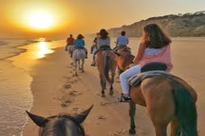 3-Hour Swim with Horses and Romantic Dinner from Hurghada hotels - Learning to ride before entering the open desert